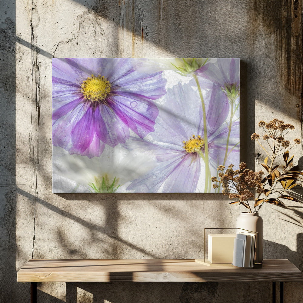 Cosmos cool | Leinwand