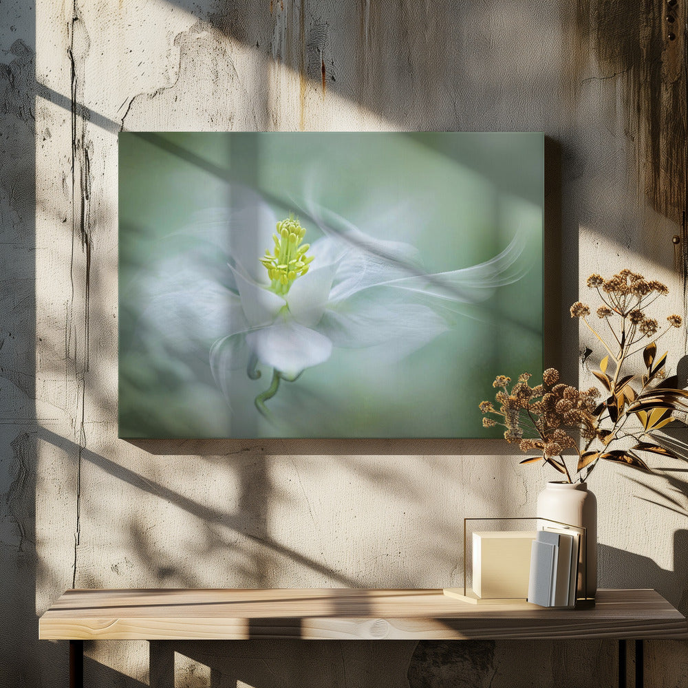 Mystical | Canvas