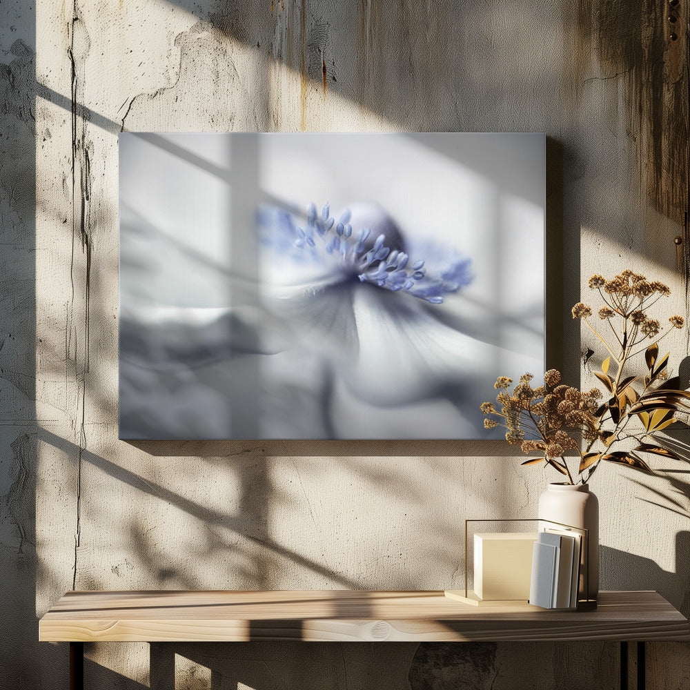 Anemonengeist | Leinwand