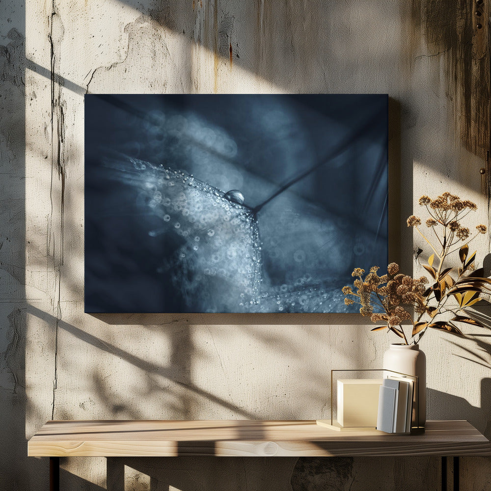 Blaue Pusteblumen | Leinwand