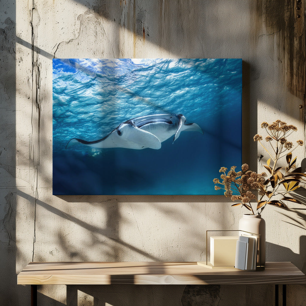 Mantarochen | Leinwand