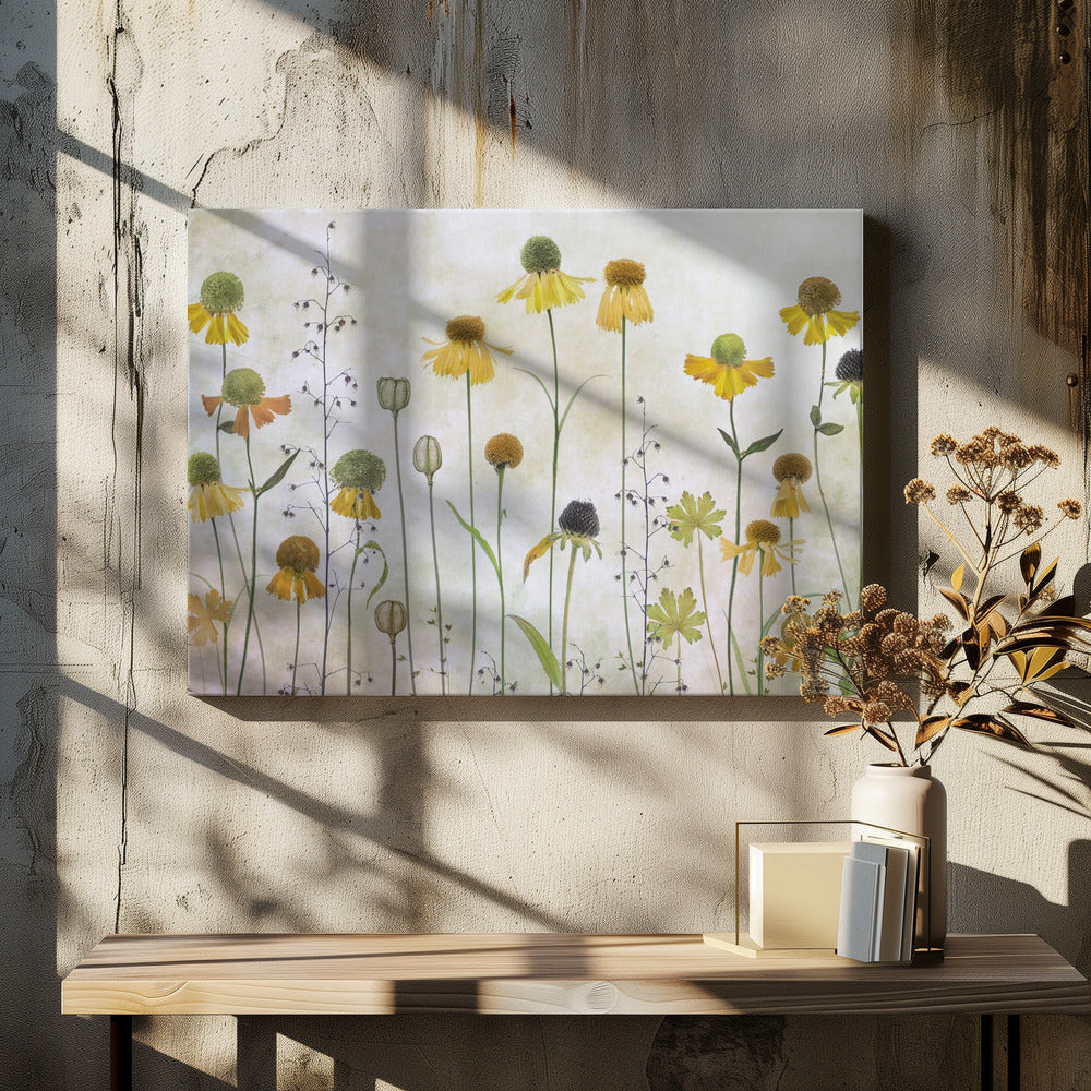 Helenium | Leinwand