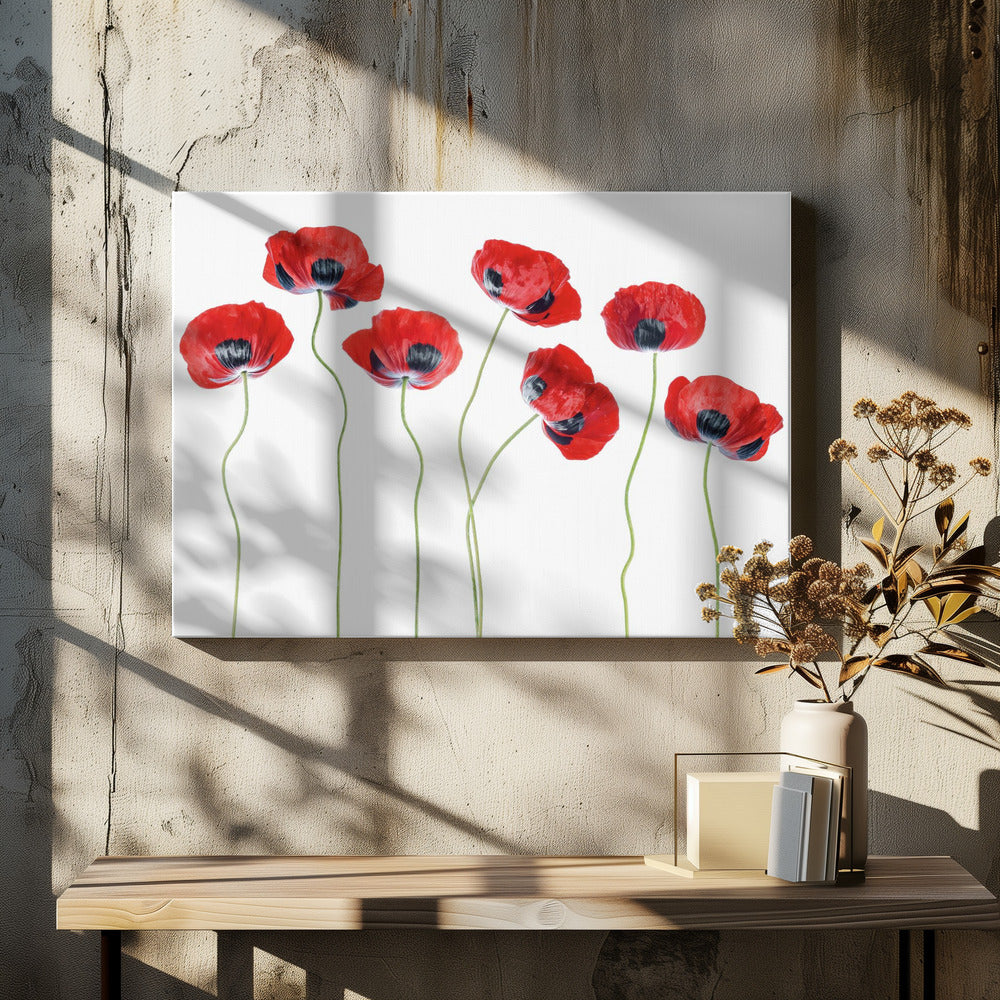 Marienkäfer Mohn | Leinwand