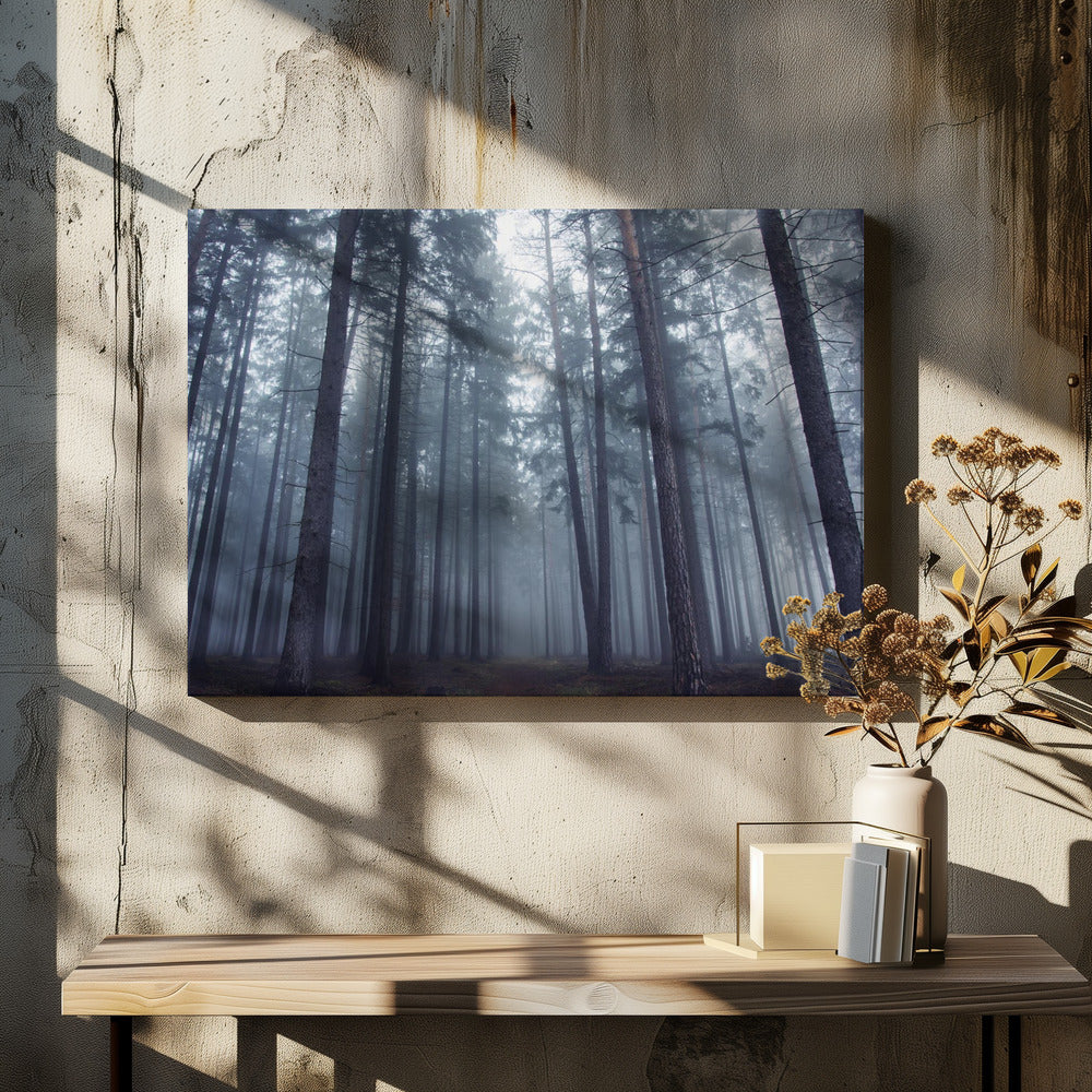 Mysterious foggy forest. | Canvas