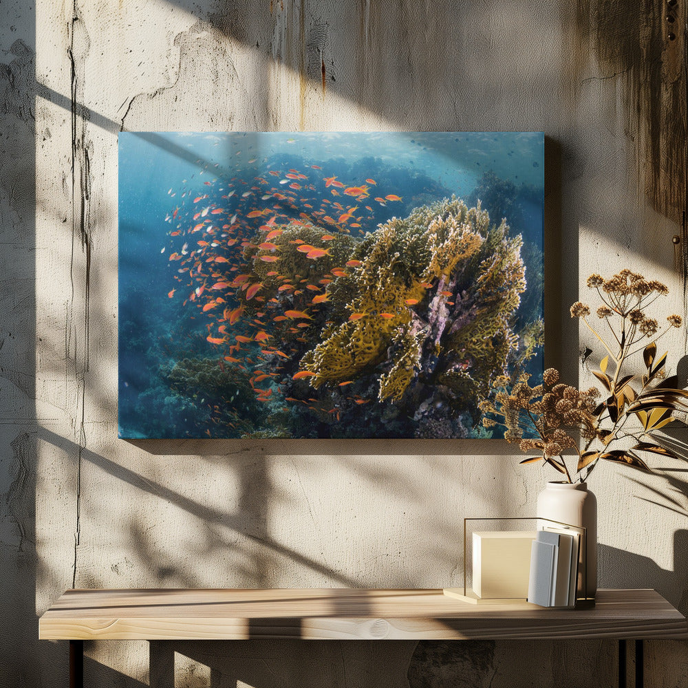 Reefscape | Canvas