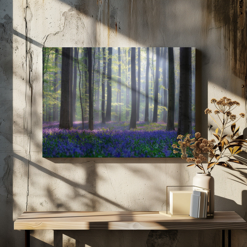 Glockenblumen | Leinwand