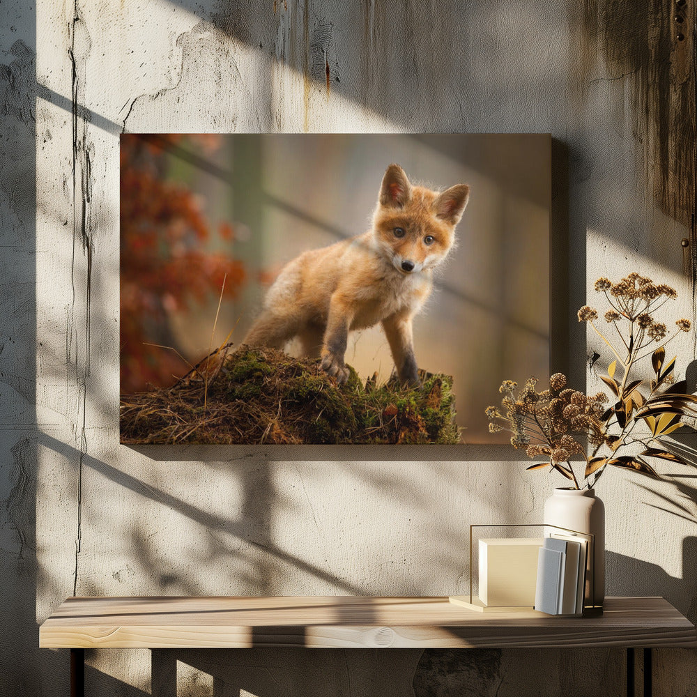 Fuchs | Leinwand