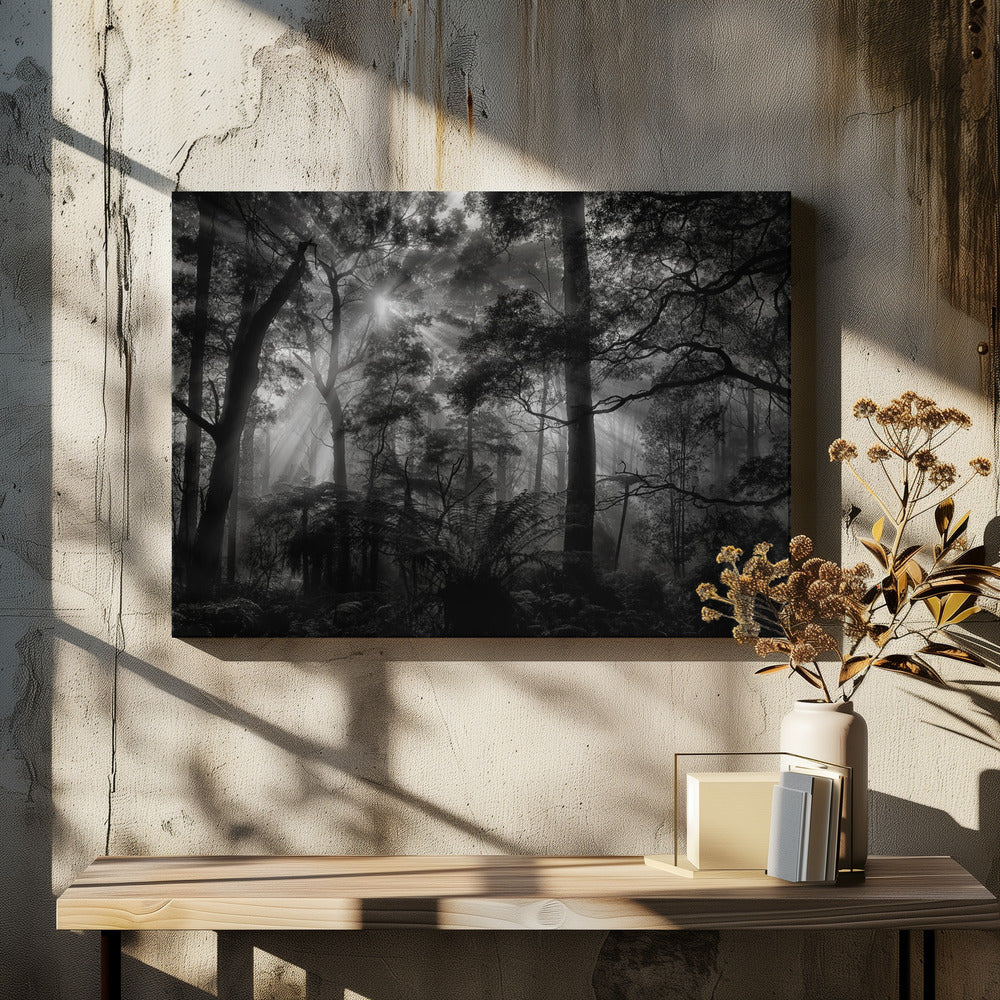 Primärwald | Leinwand