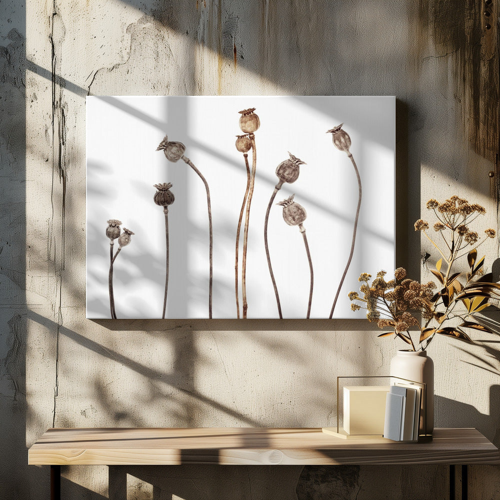 Mohnblumen | Leinwand