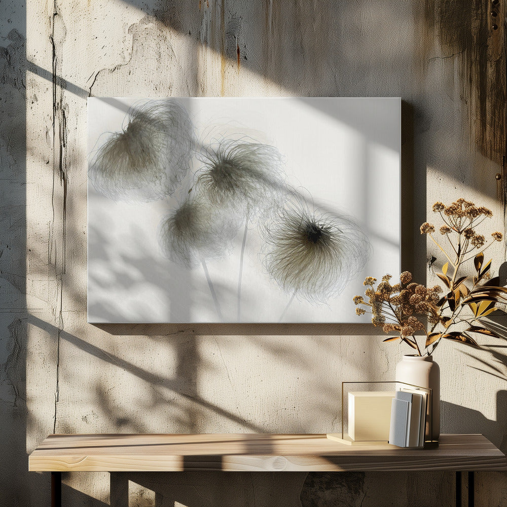 Clematis | Leinwand