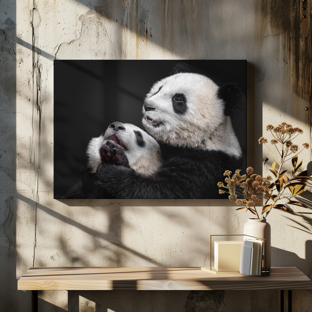 Pandas | Leinwand