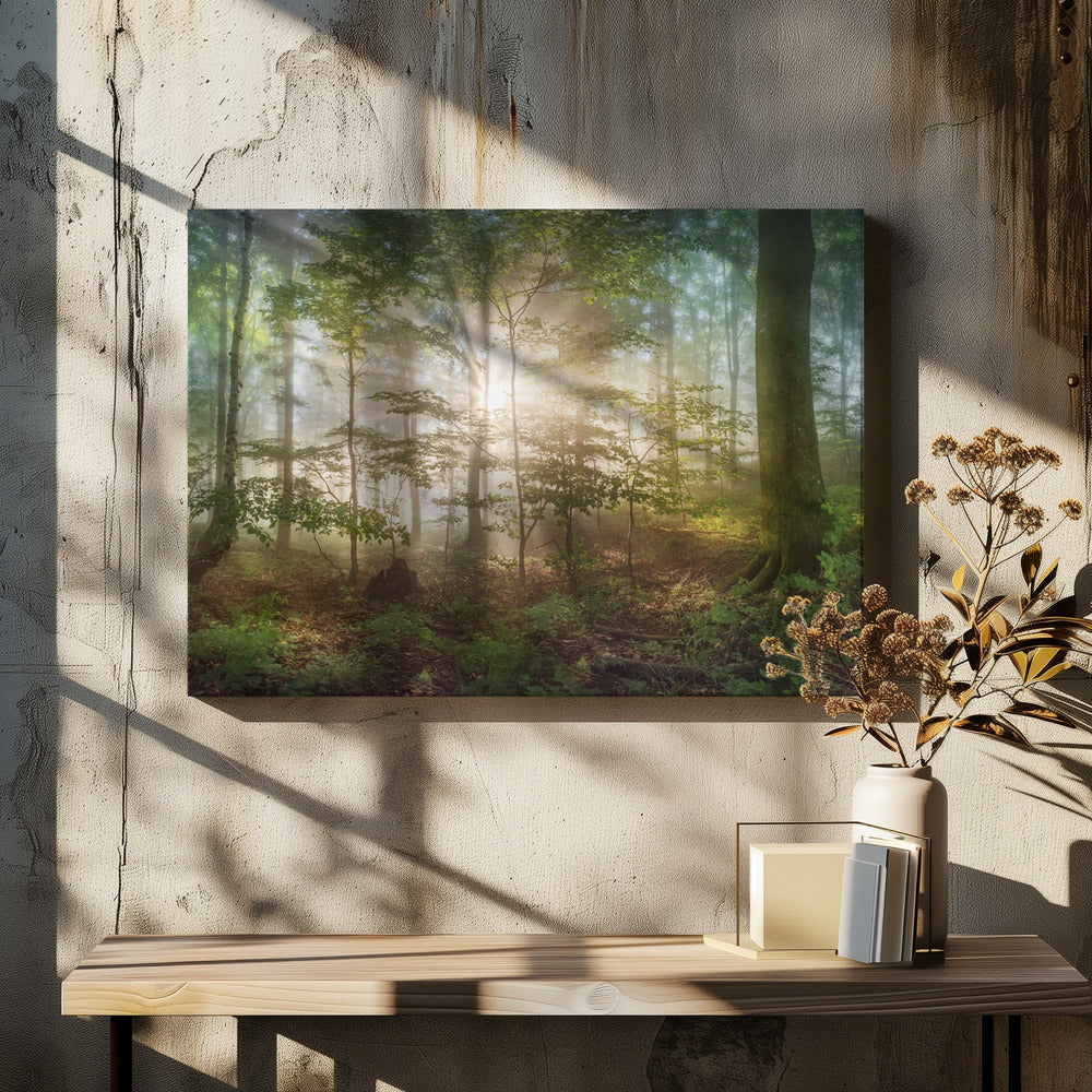 Morgensonne | Leinwand