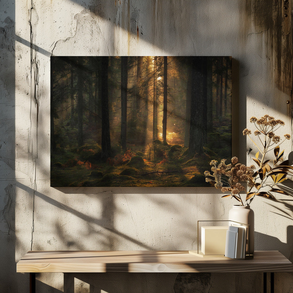 Das Licht im Wald | Leinwand