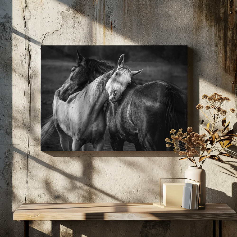 Warm rain | Canvas