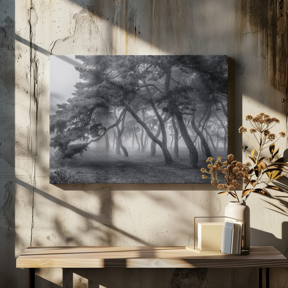 Always | Canvas