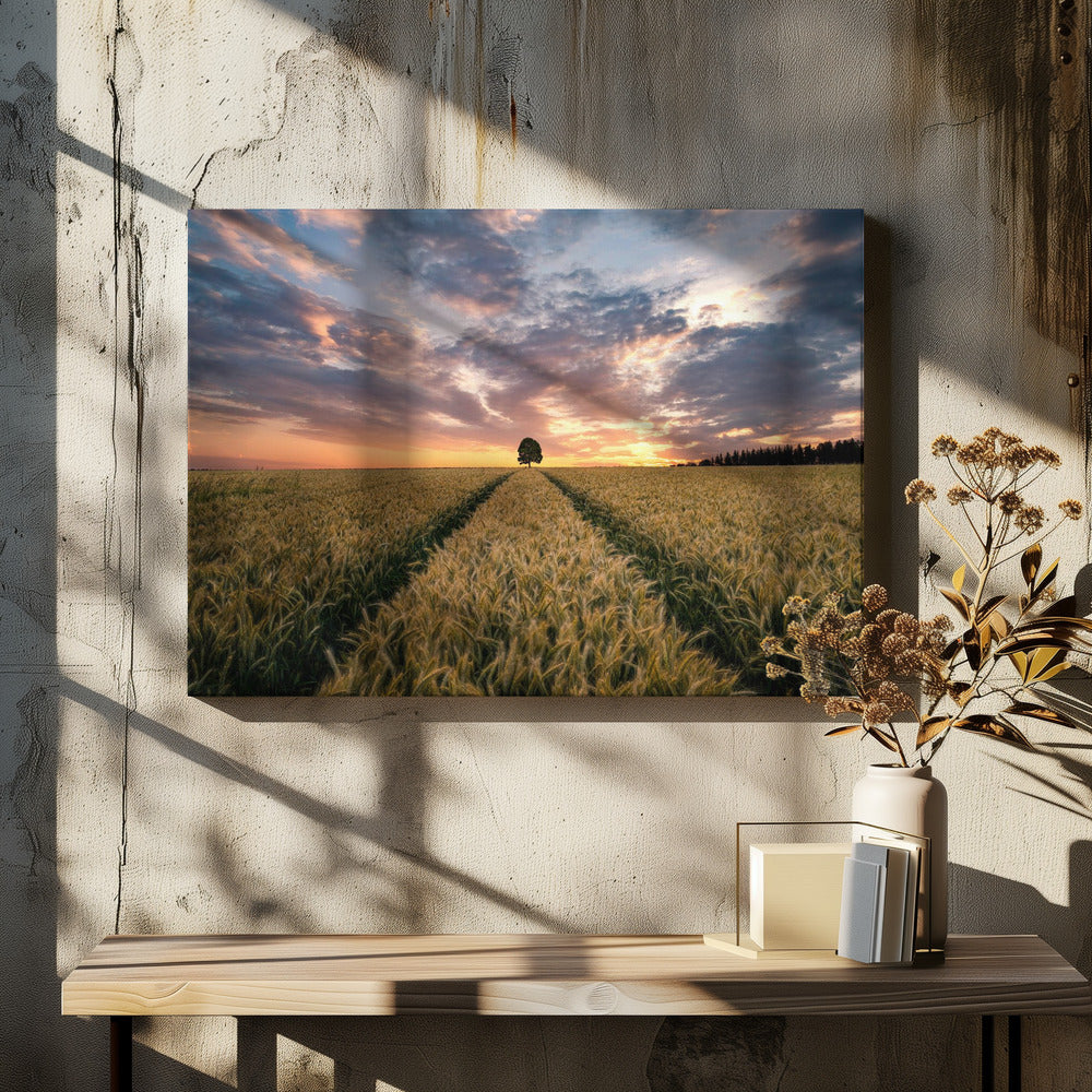 Feld der Träume | Leinwand