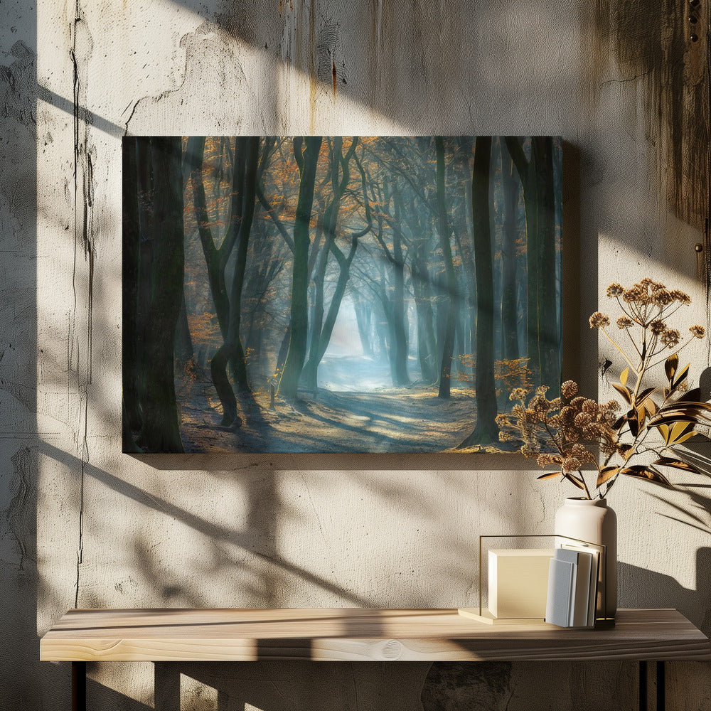 Kaltes Licht | Leinwand