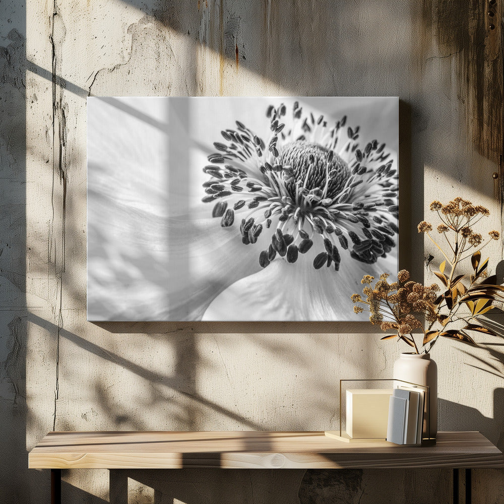 Anemone | Leinwand