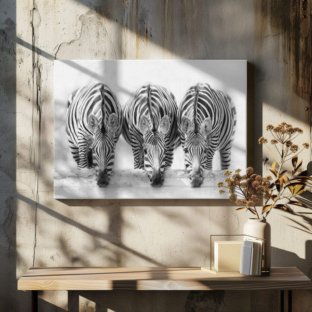 Zebras | Leinwand