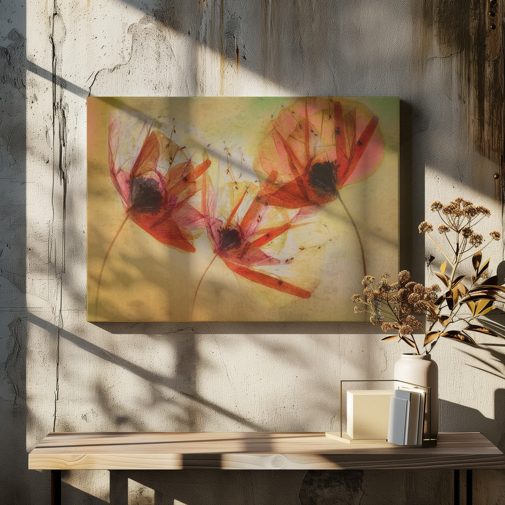 Mohnsamen | Leinwand