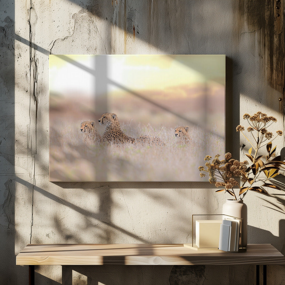 Gepardenfamilie | Leinwand