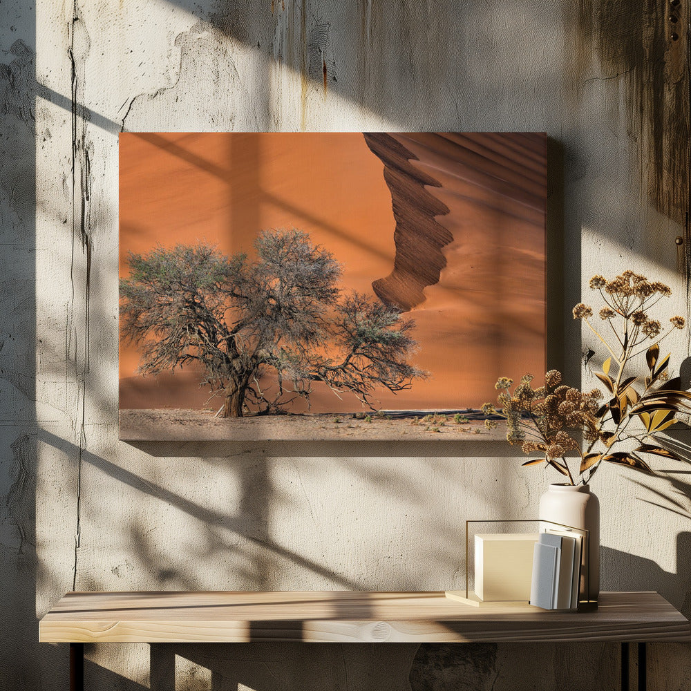 Akazie in der Wüste | Leinwand