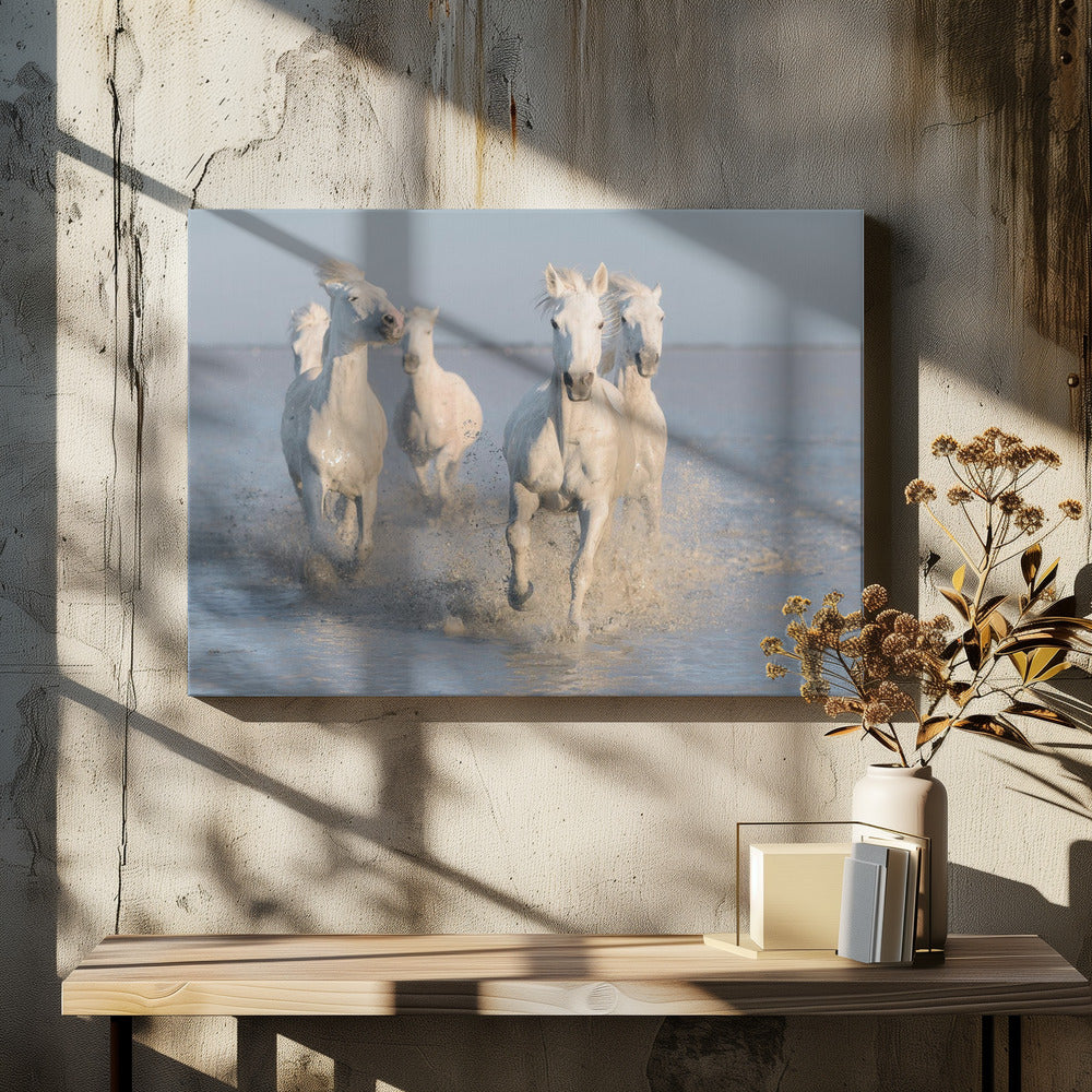 Pferde | Leinwand