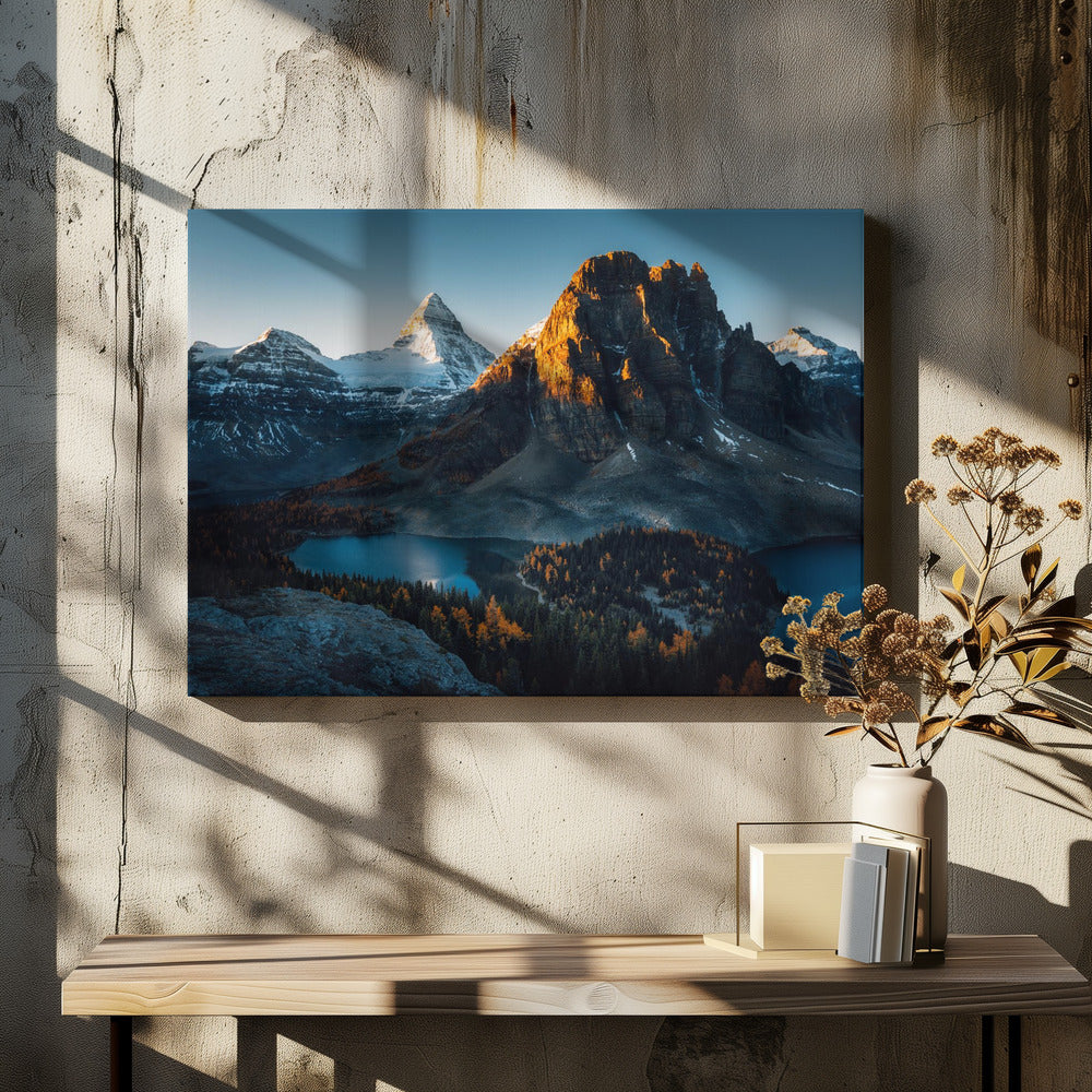 Morning Sunlight | Canvas