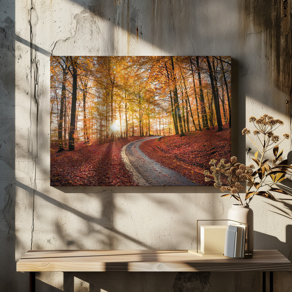 Straße im Nationalpark Söderåsen, Schweden | Leinwand