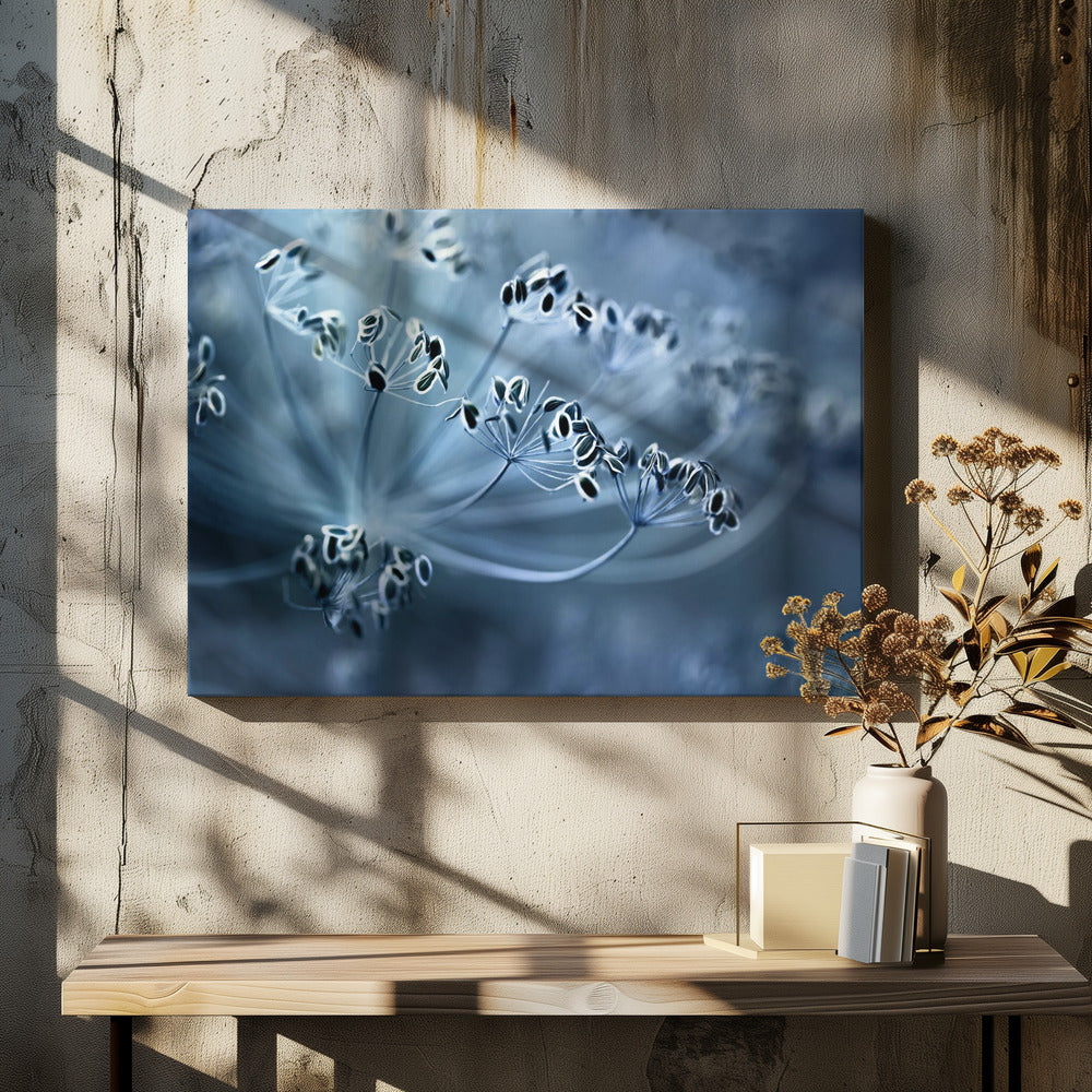 Dill | Canvas