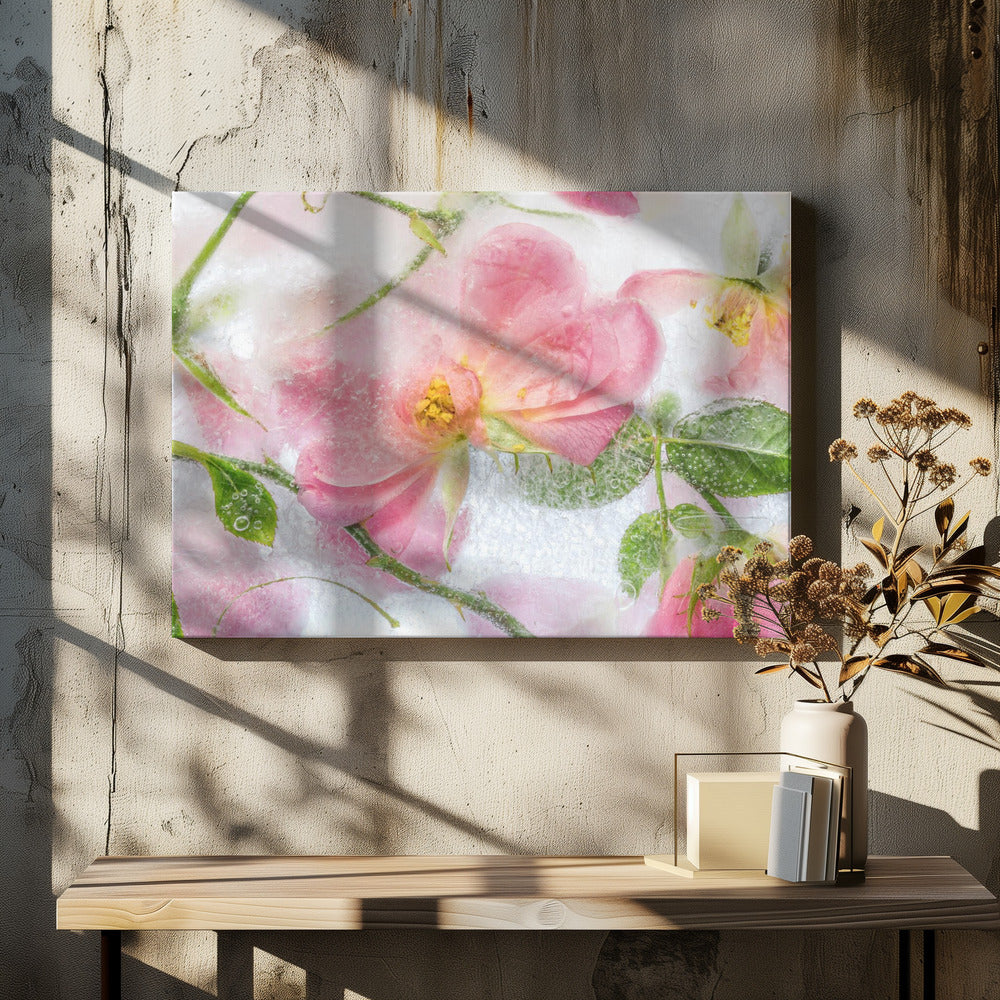 Rosa | Canvas