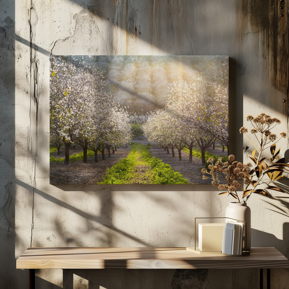 Goldene Mandeln | Leinwand