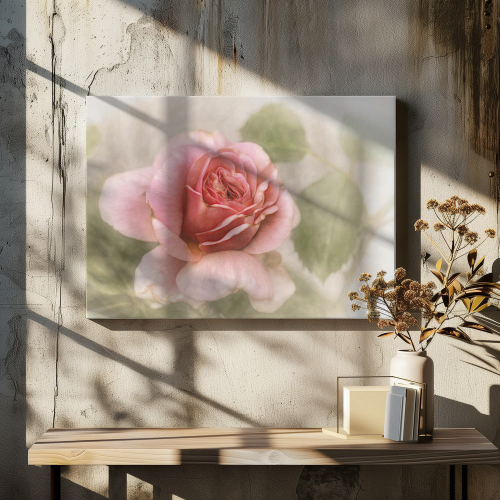 glatte Rose | Leinwand