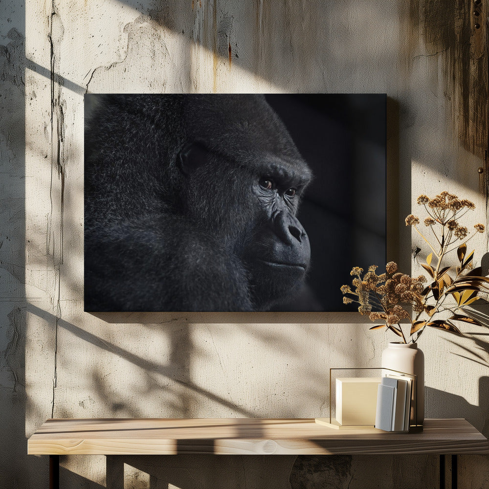 Gorillablick | Leinwand