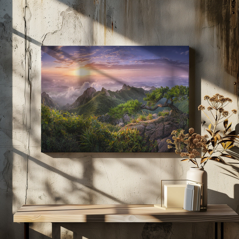 Kiefer auf dem Felsen | Leinwand