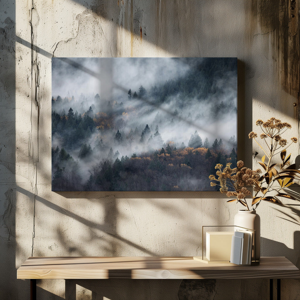 Ein Pfad im Nebel | Leinwand