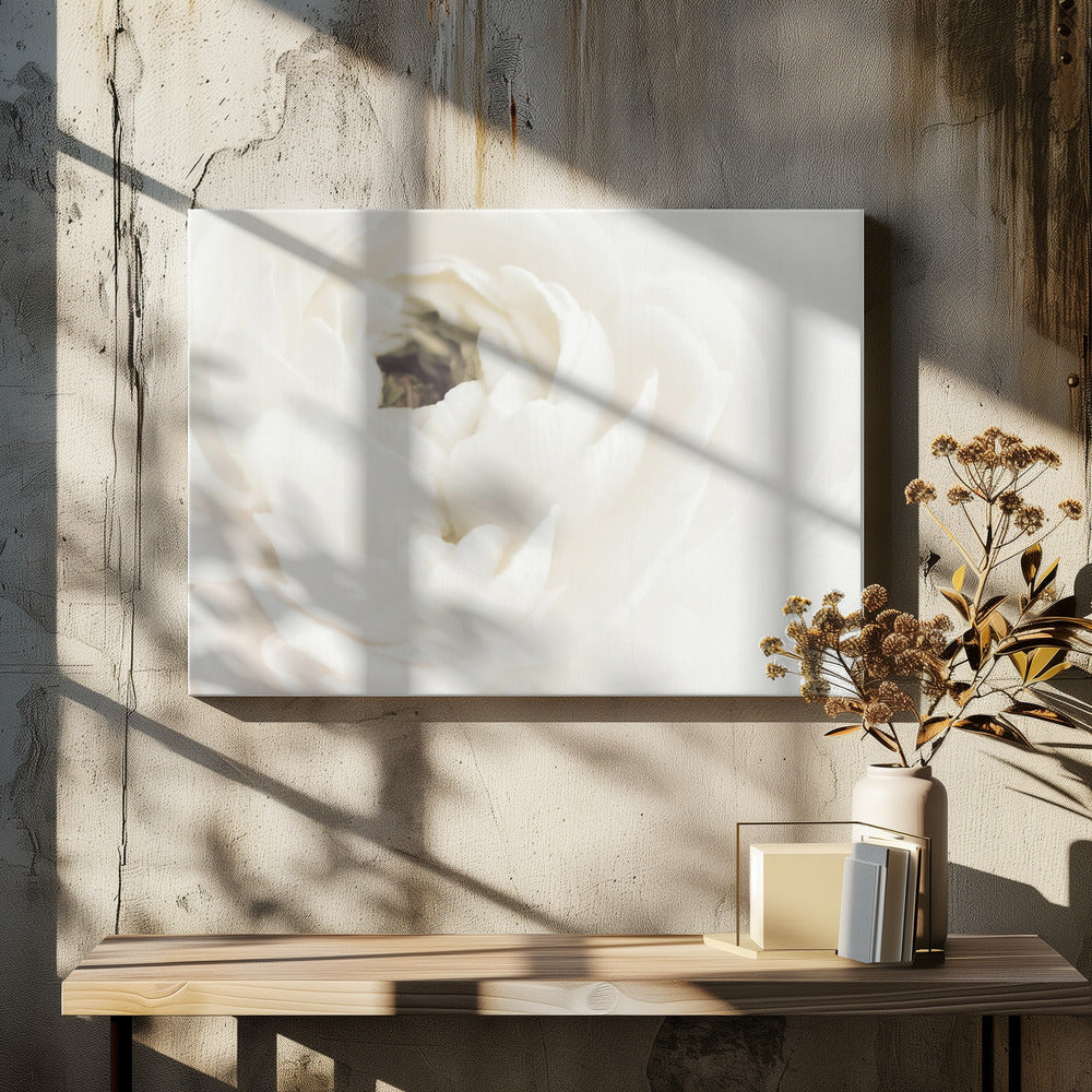 Weiße Blume 02 | Leinwand