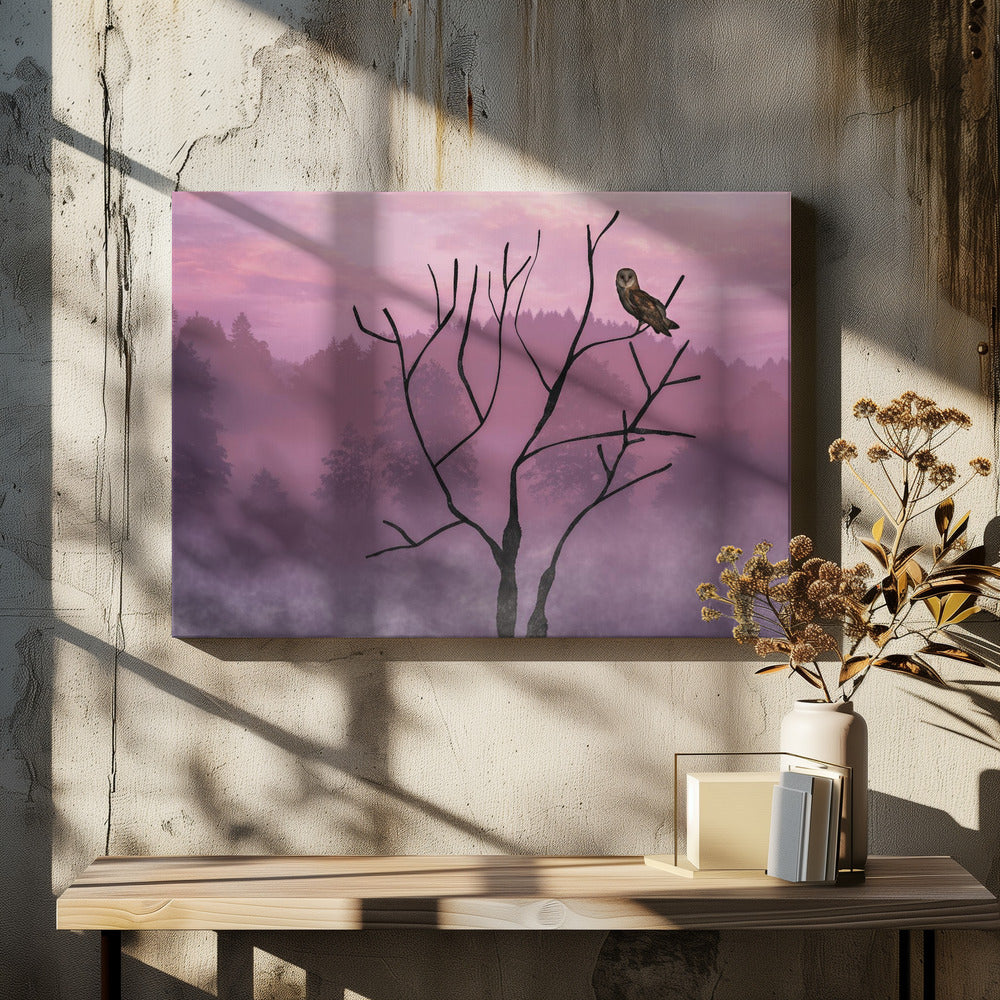 Rosa Himmel am Morgen | Leinwand