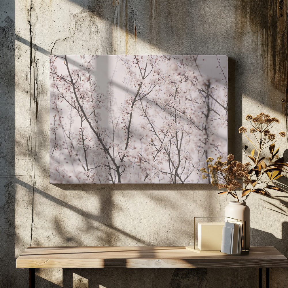 Frühlingsblüten | Leinwand