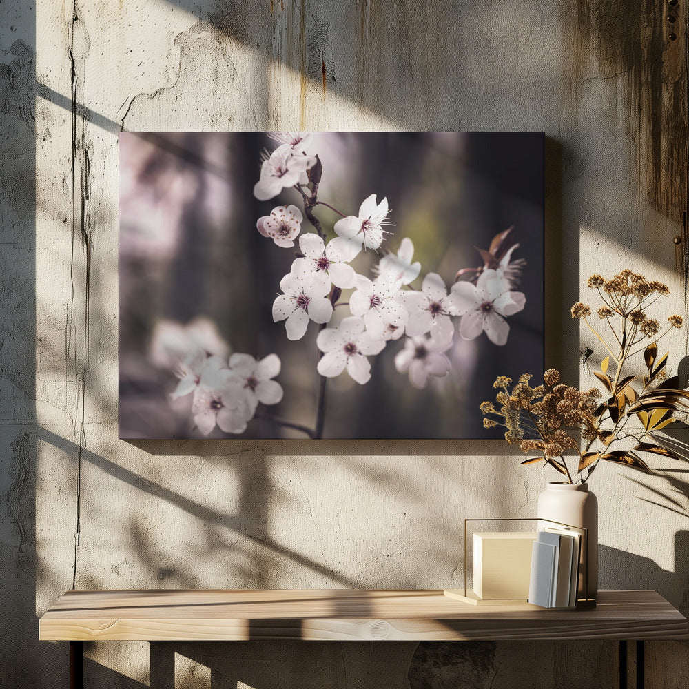 Blossoms | Canvas