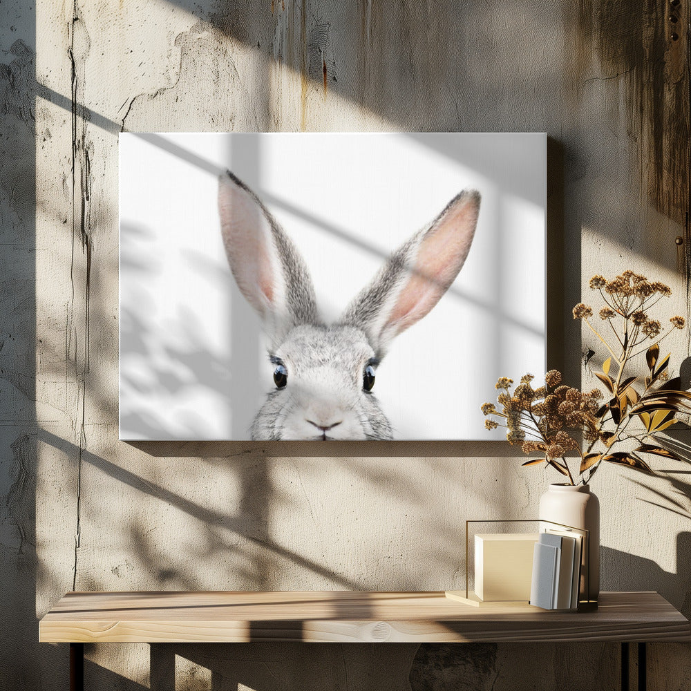 Guckender Hase | Leinwand
