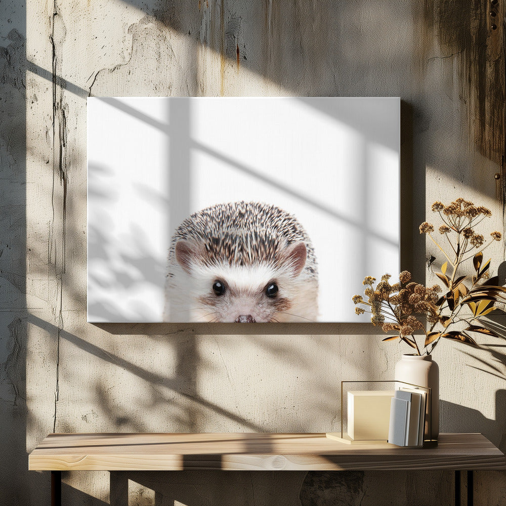 Guckender Igel | Leinwand