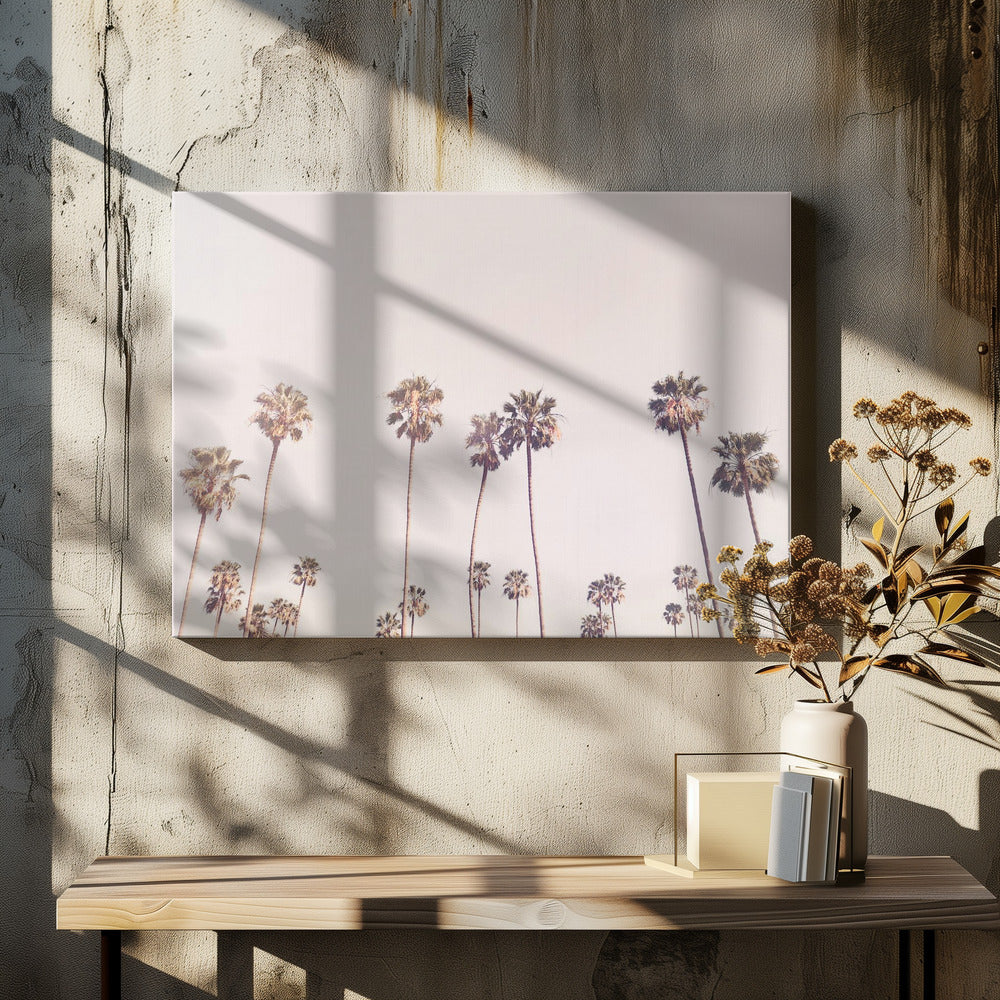 Sunny Cali Palm Trees | Canvas