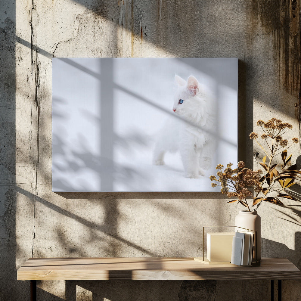 Weiß wie Schnee | Leinwand