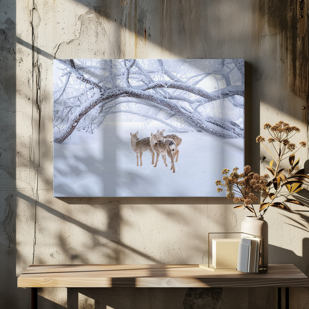 Hirschspaziergang im Schnee | Leinwand