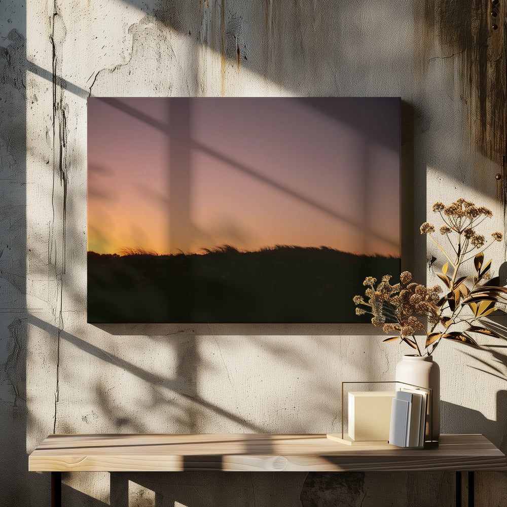 Dünengras Sonnenuntergang Horizontal | Leinwand