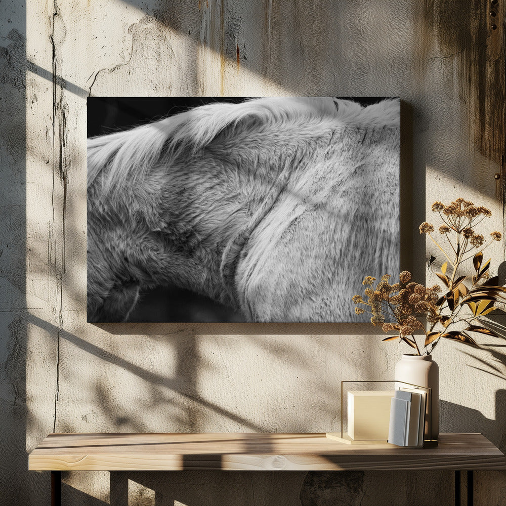 Pferd II | Leinwand