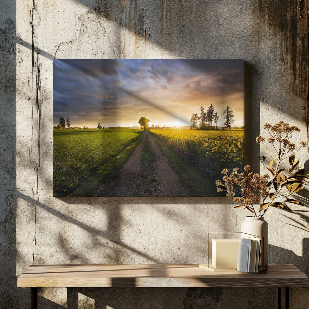 Sommerwiese | Leinwand