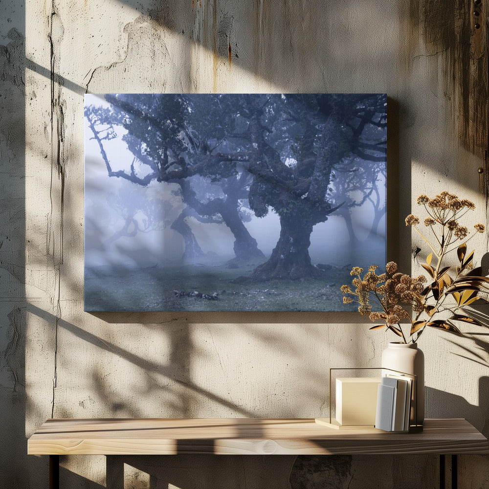 Blaue Wälder | Leinwand