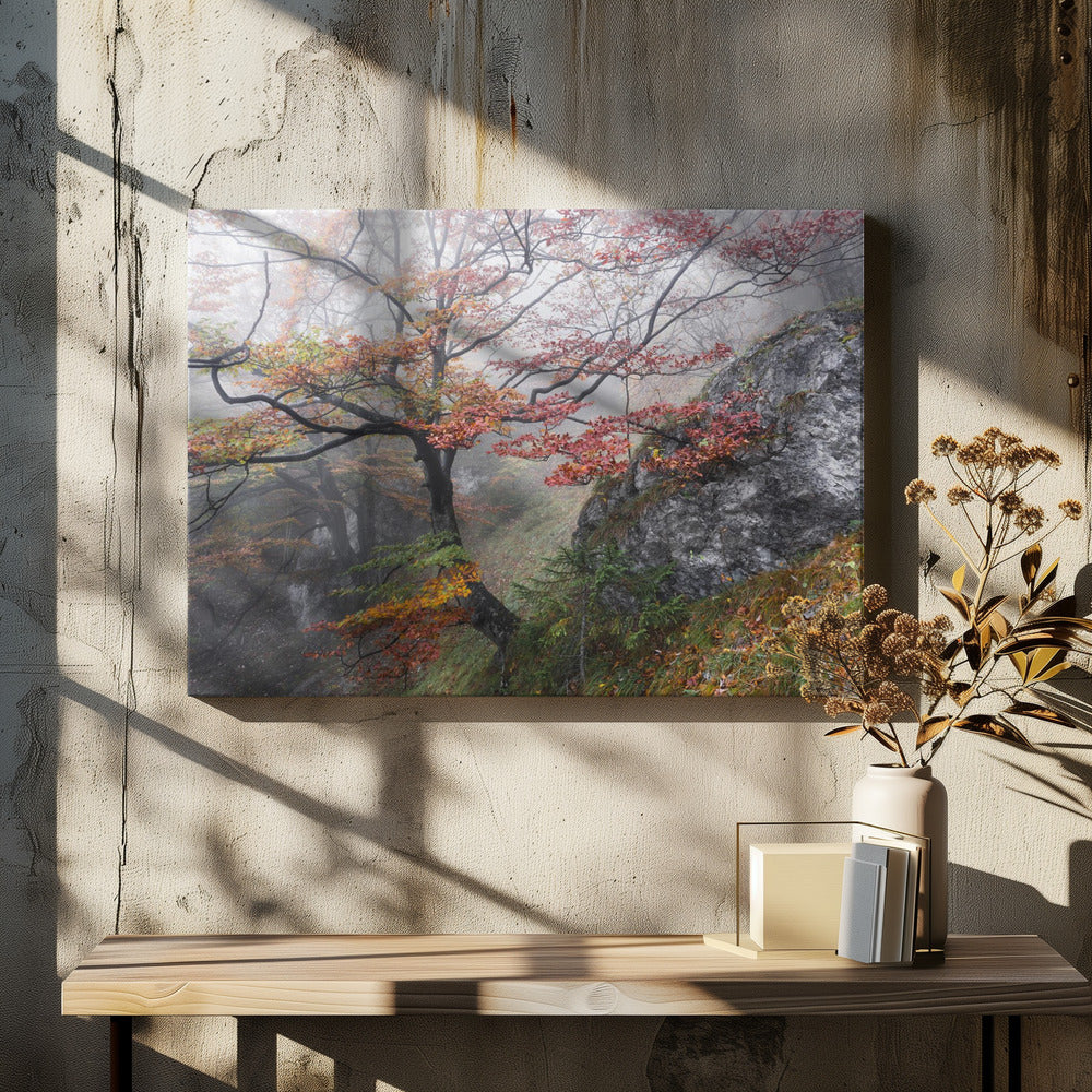 Nebliger Wald | Leinwand